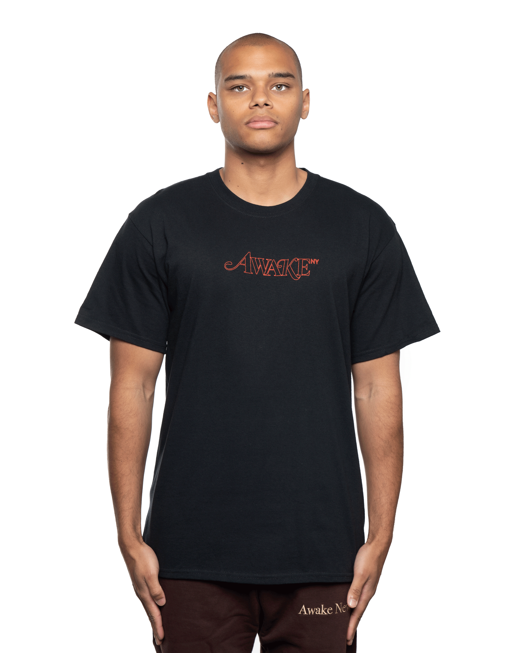 AWAKE NY CLASSIC LOGO S/S T-SHIRT Lサイズ - Tシャツ/カットソー